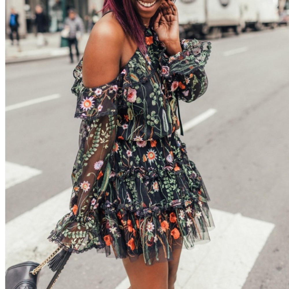 🚫SOLD🚫Alexis Adeline embroidered garden dress - Picture 1 of 7